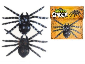 Pająk tarantula ptasznik  - PAJ26