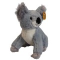 koala (1).jpg