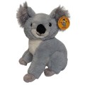 koala.jpg