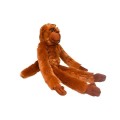 malpa-dlugas-mala.jpg